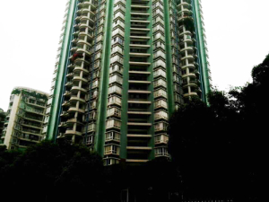 重庆江北电梯维保案例